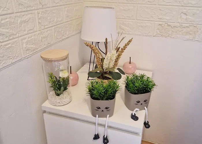 King בית אירוח *